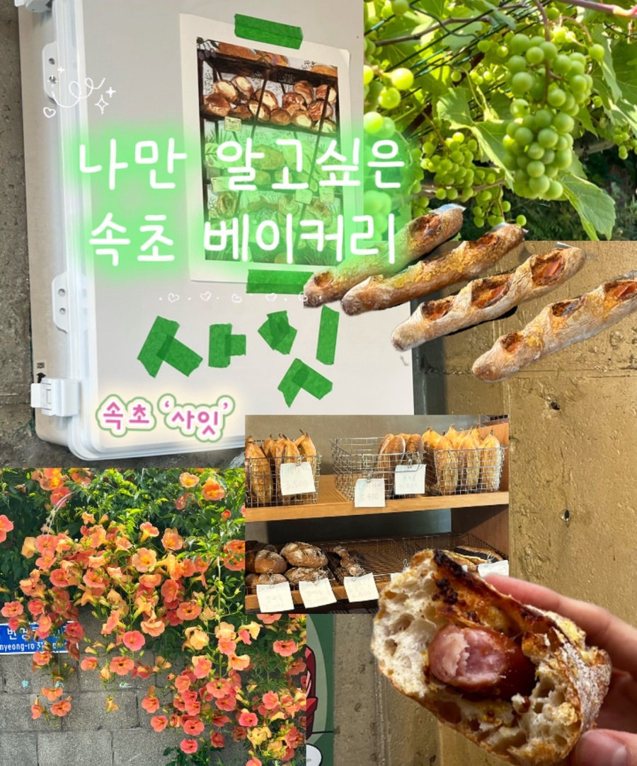 사잇 사진 1