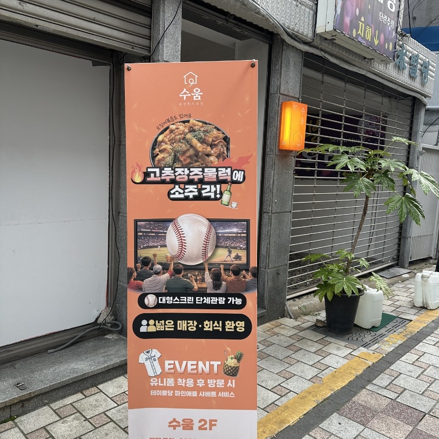 수움 사진 2