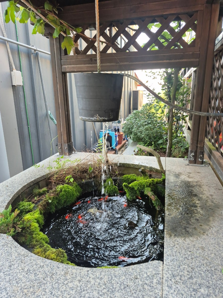 바다향횟집 사진 2