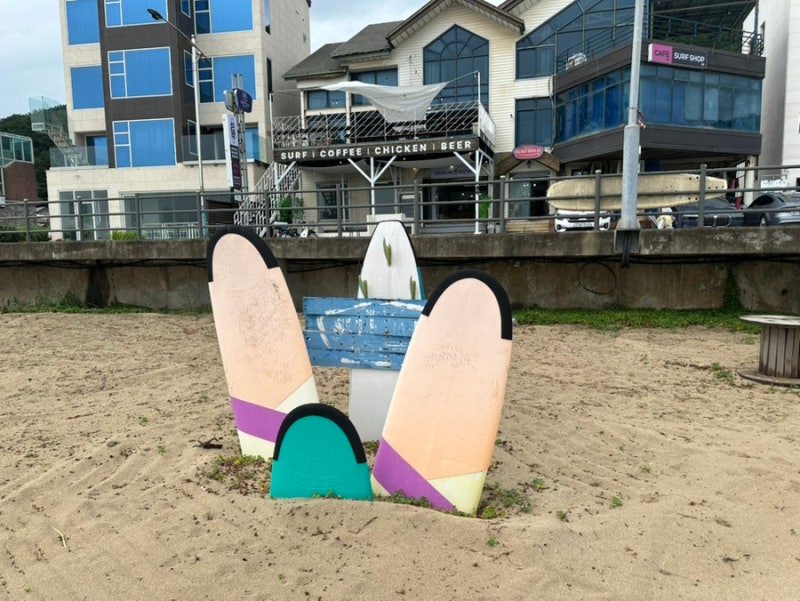 강릉 서핑 추천 서프홀릭강릉, 금진해변에서 즐긴 시원한 여름