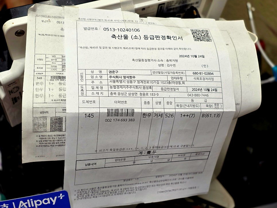 국고집 사진 4
