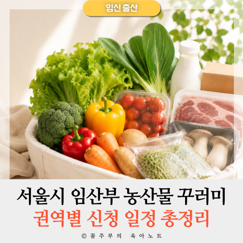 서울시 임산부 농산물 꾸러미 신청 | 2026 권역별 일정 총정리