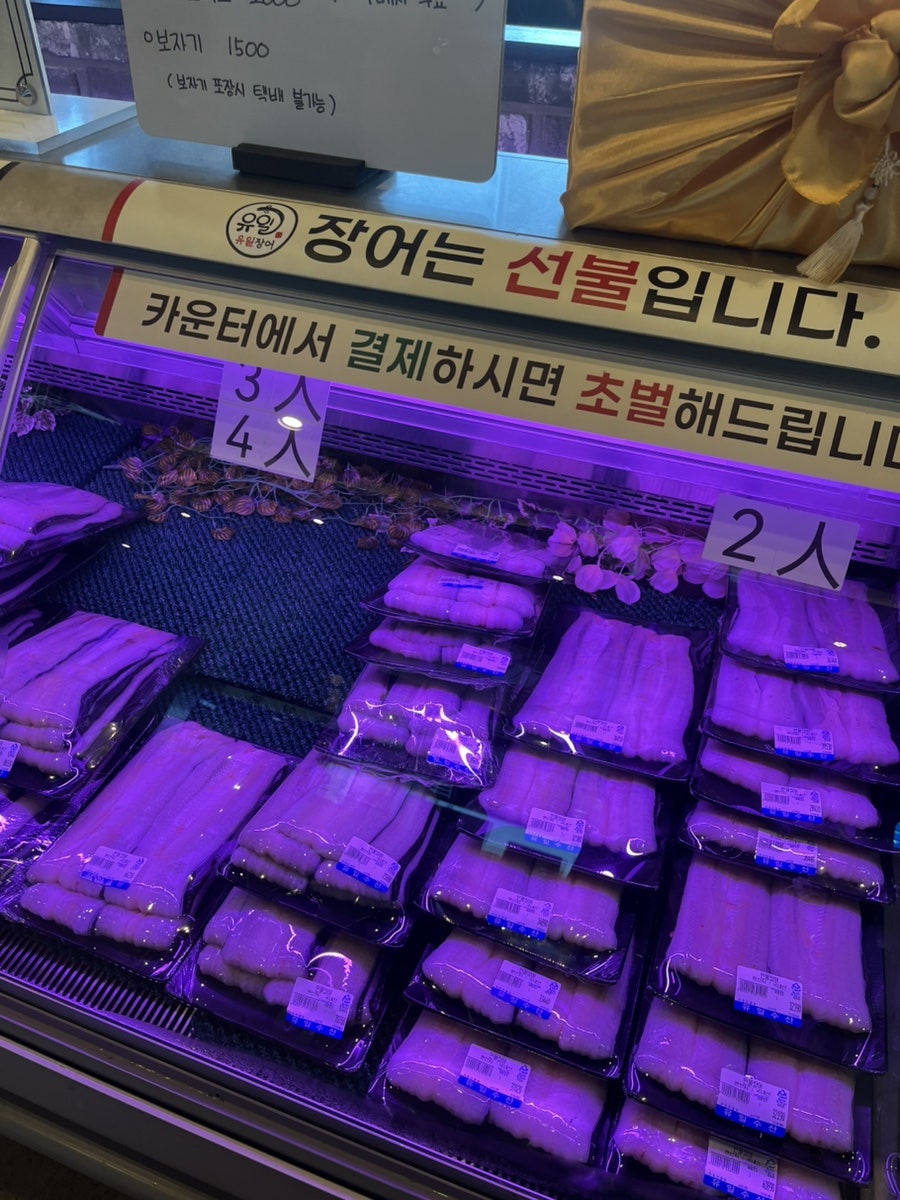 유일장어 사진 6