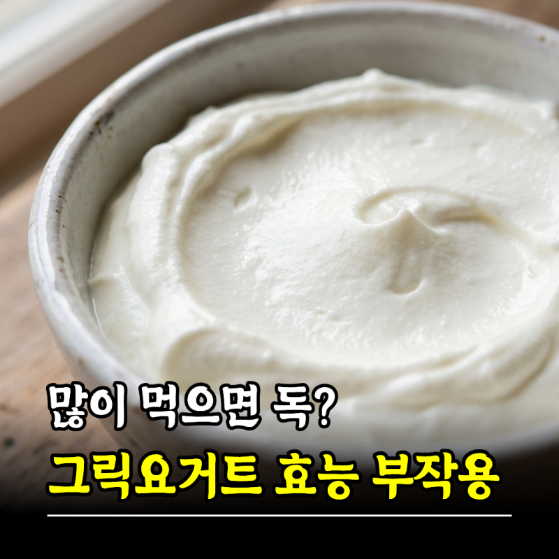많이 먹으면 독? 그릭요거트 효능 부작용