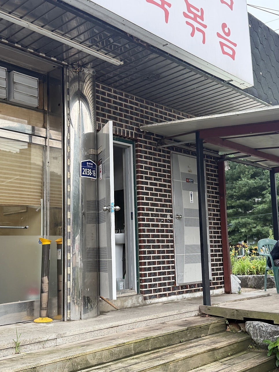 정들레 사진 3