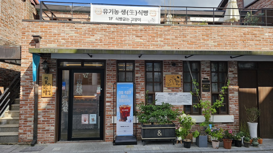 식빵굽는고양이