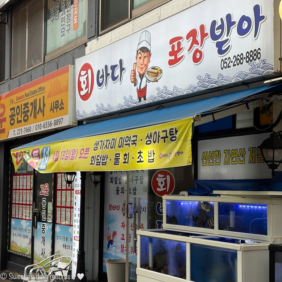 회바다포장받아 사진 4