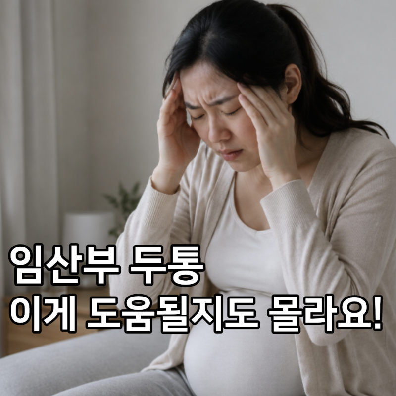 직접 겪은 임신 초기 중기 13주 14주 15주 16주 임산부 두통