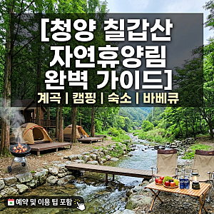 청양 칠갑산 자연휴양림 완벽 가이드: 숲속의 집 숙소부터 계곡 물놀이, 캠핑 야영장, 바베큐....