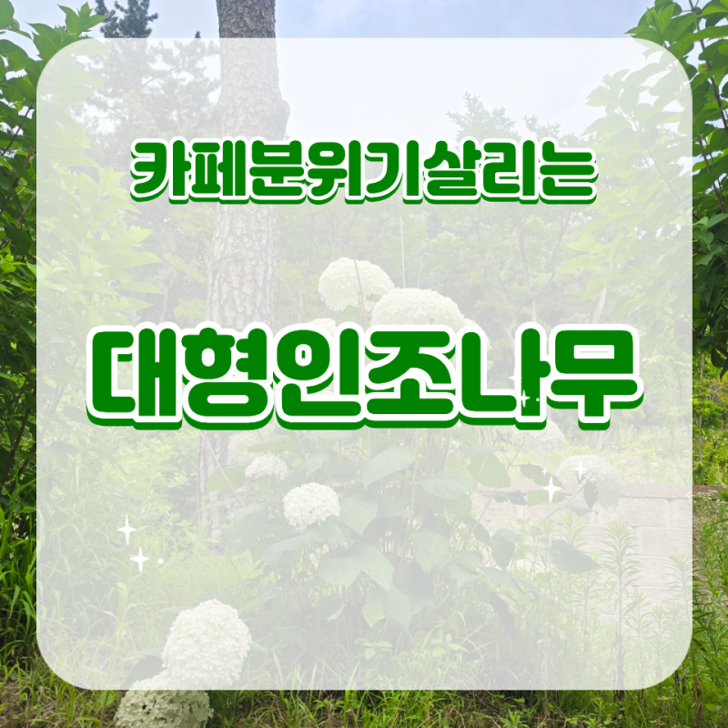 카페 분위기를 살리는 대형조화나무 추천해주세요