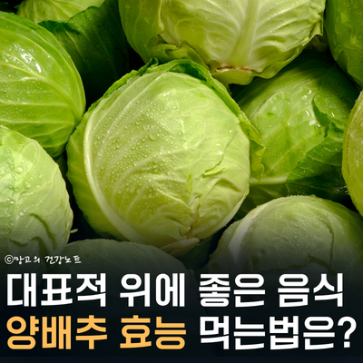 위에 좋은 음식 양배추 효능 5가지! | 부작용, 먹는법 양배추즙