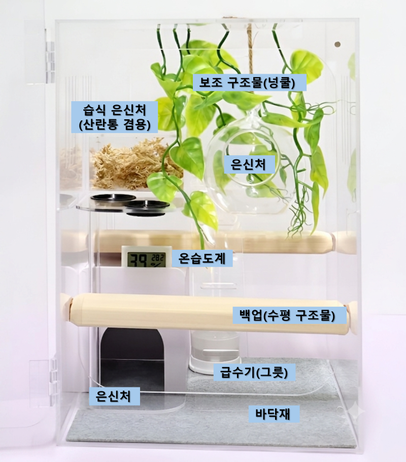크레스티드게코의 사육장 선택(특징)