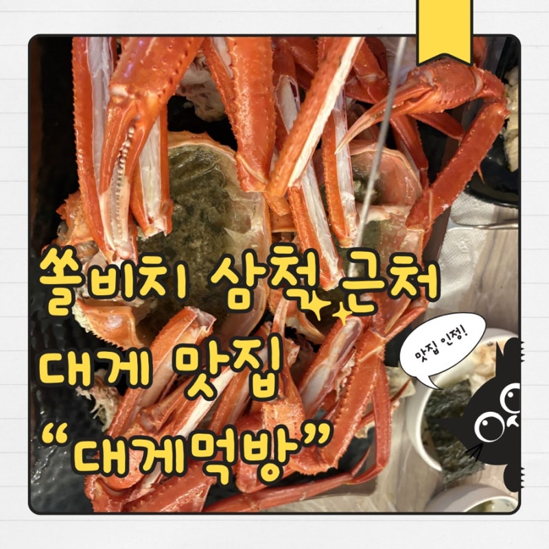 삼척여행 #3 | 삼척 쏠비치 근처 대게 맛집 ‘대게먹방’ 후기, 가족 모두 만족!