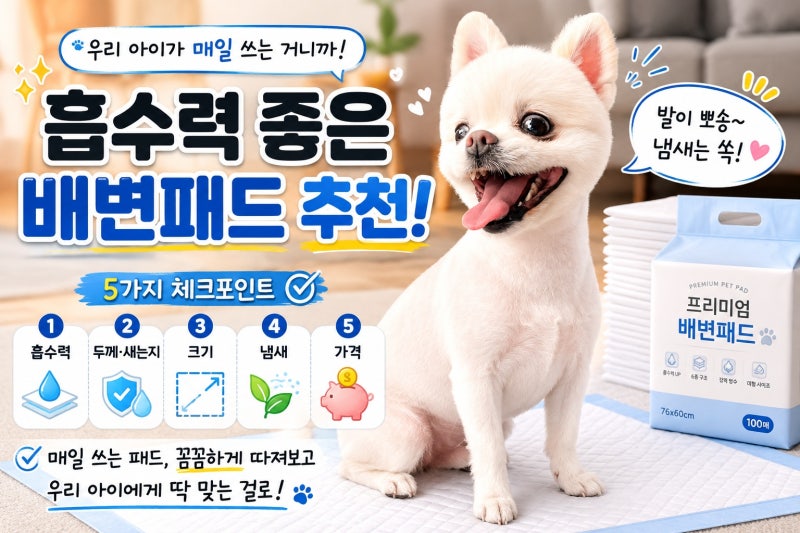 강아지 배변패드 추천 | 소변 많은 다견 가정이 흡수력 보고 고른 3종
