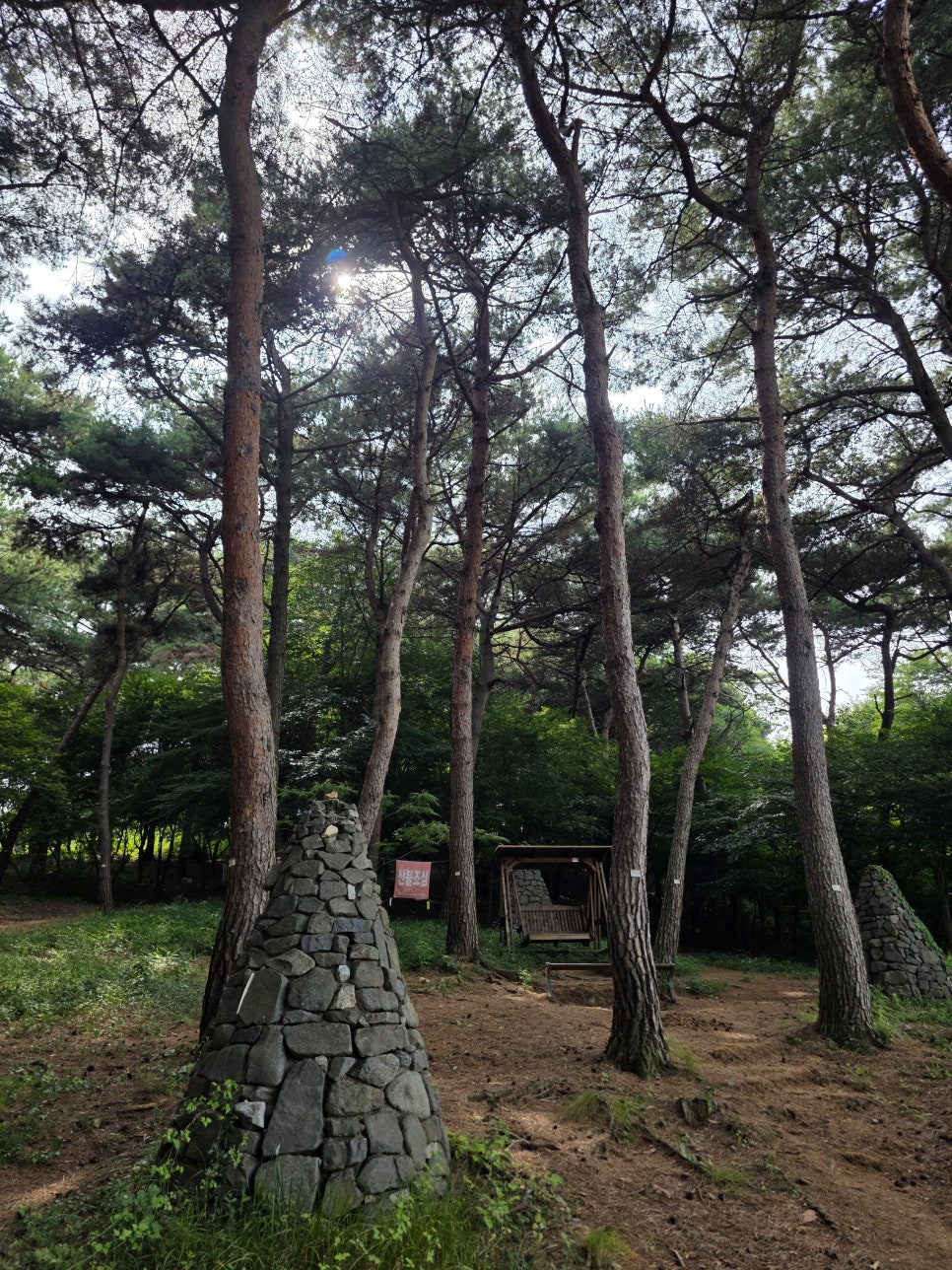 남산 산림욕장 사진 5