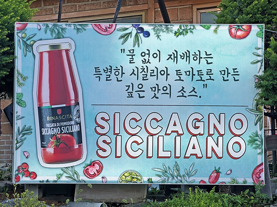 까사338 사진 4