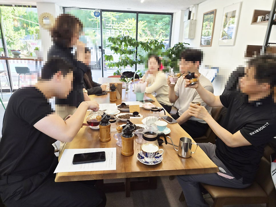 커피나무 사진 4