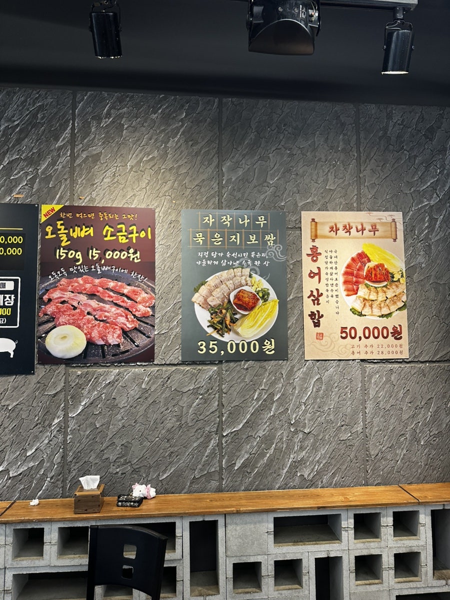 자작나무 사진 6