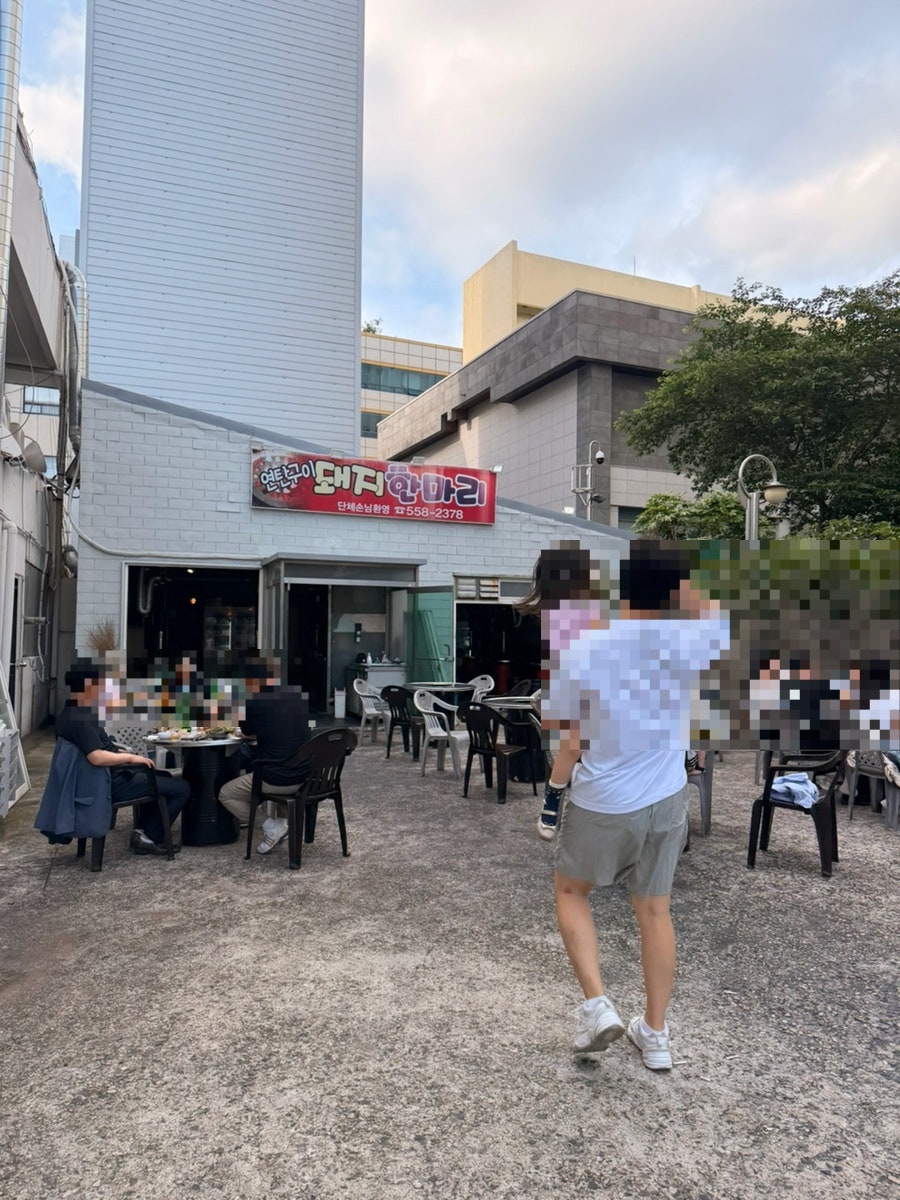 돼지한마리 사진 6