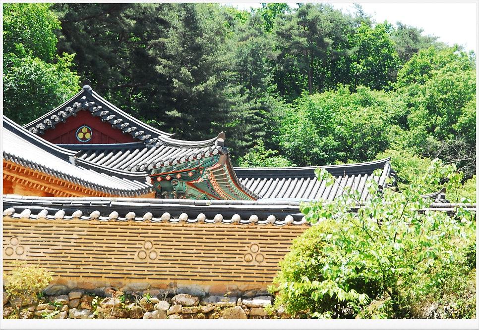송호관광지 사진 1