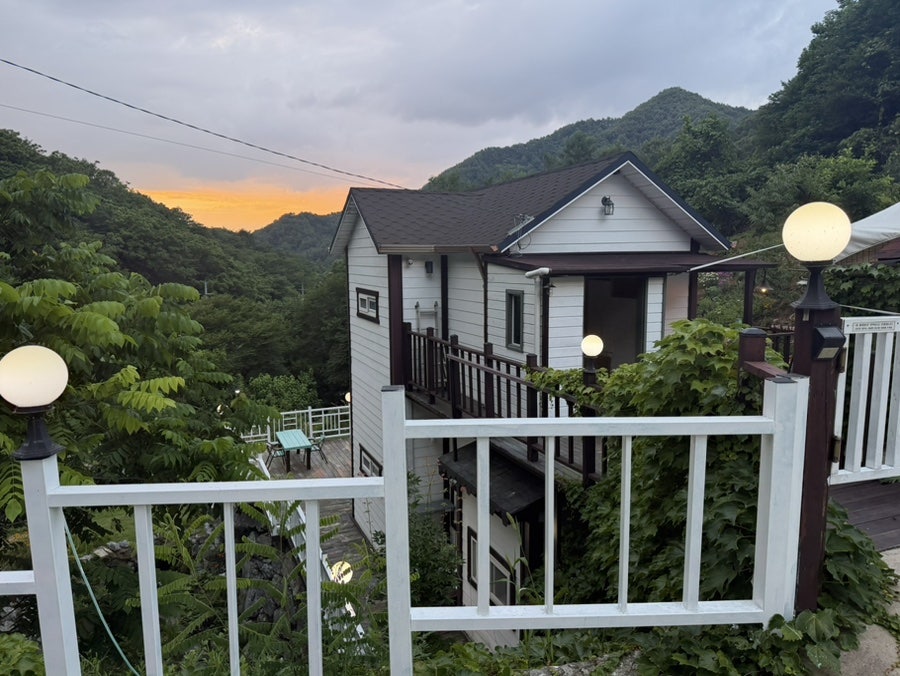 단지골몽상가 사진 1