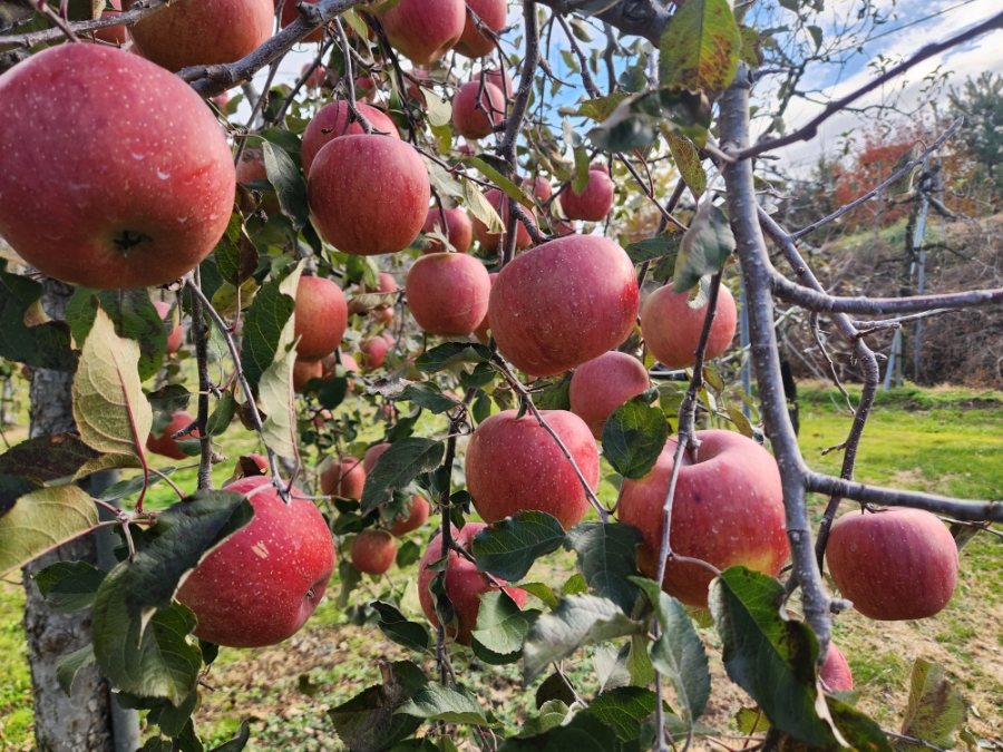 두메산골 사진 4