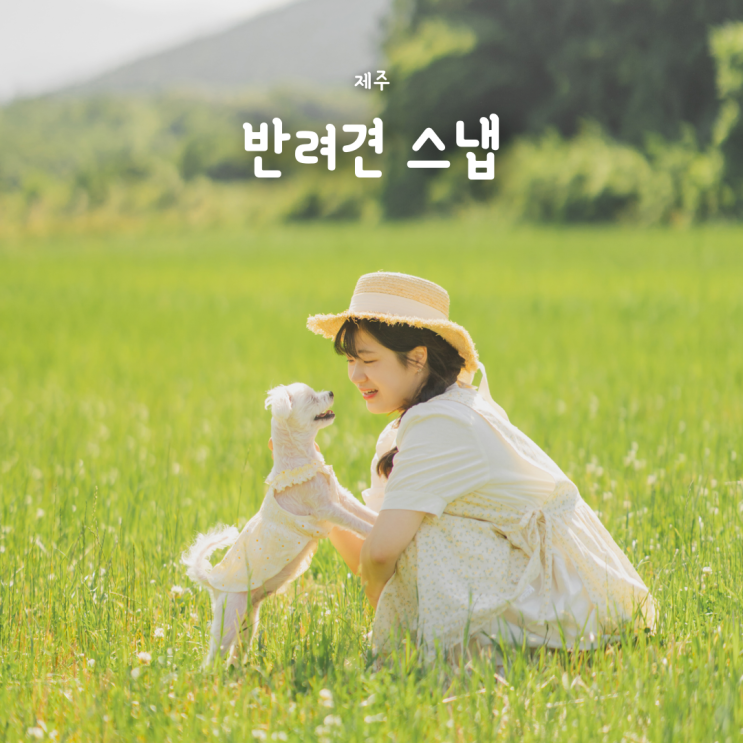 제주 반려견 스냅, 평생 간직하고 싶은 우리의 기록