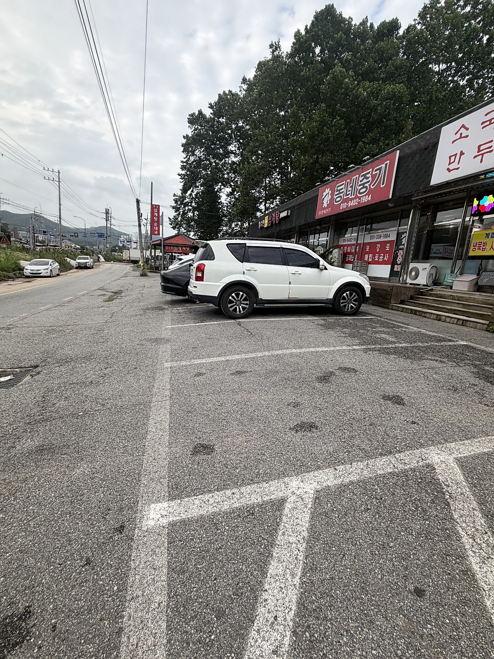 정들레 사진 2