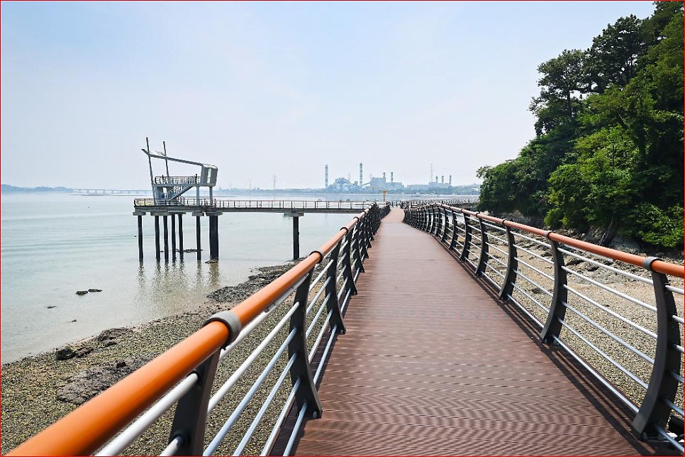 한진포구 해상데크길 사진 3