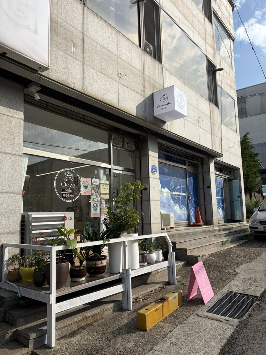우즈케이크 사진 2