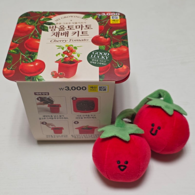 다이소 방울토마토 키우기 #01 씨앗을 심다.