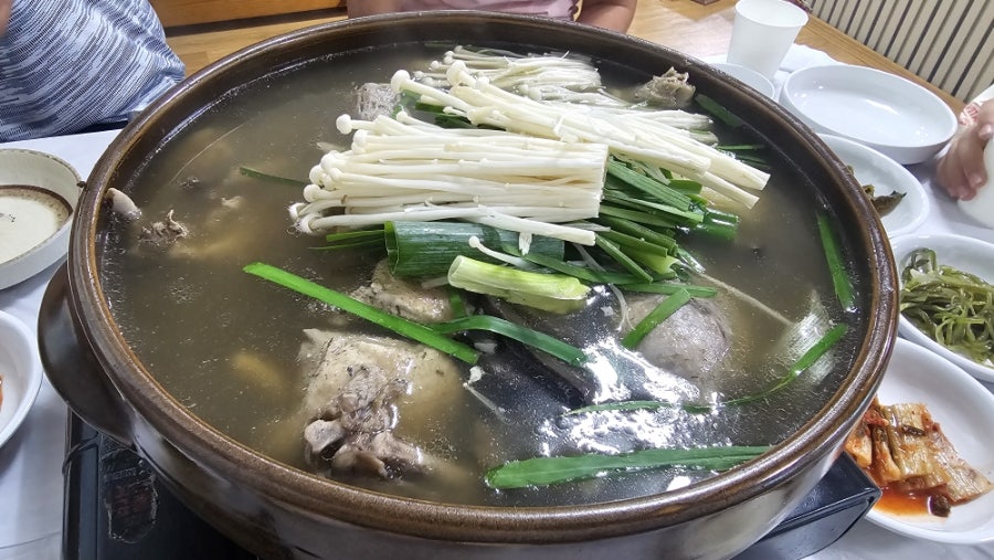 자루메1921 사진 2