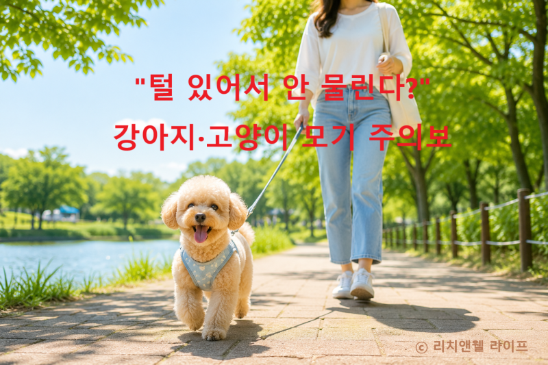 "털 있어서 안 물린다?" 강아지·고양이 모기 주의보 & 예방법 6가지!