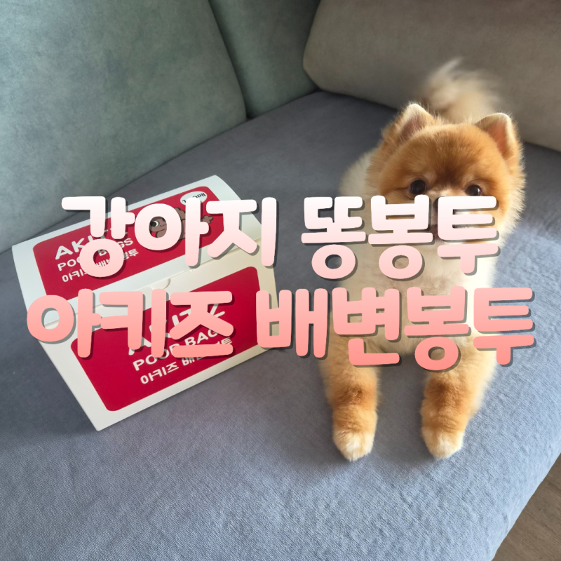 강아지 똥봉투 강아지산책 똥츄 아키즈배변봉투