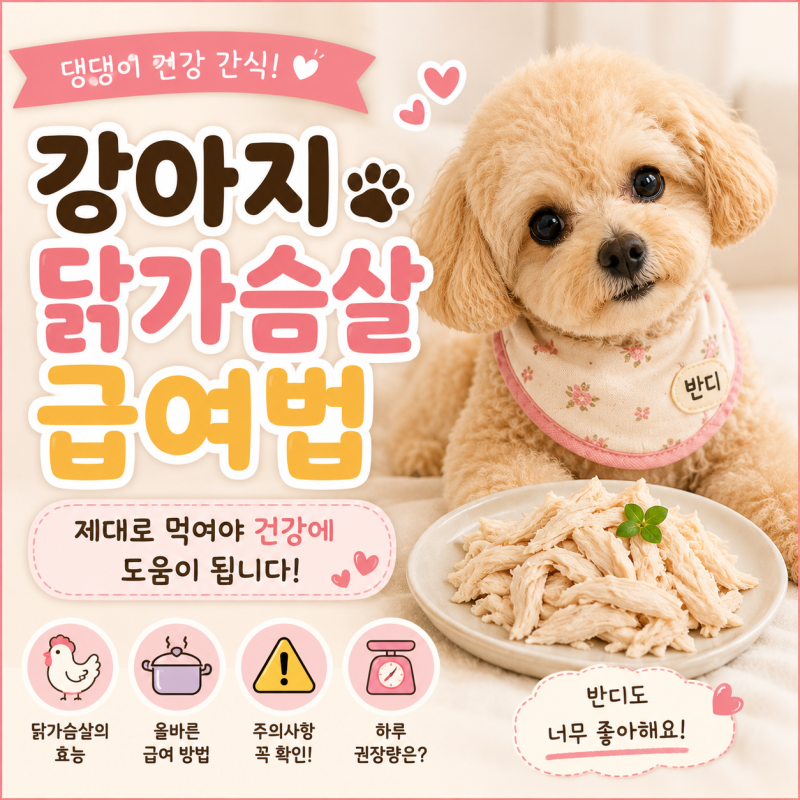 강아지 닭가슴살 급여법 제대로 먹여야 건강에 도움 됩니다!