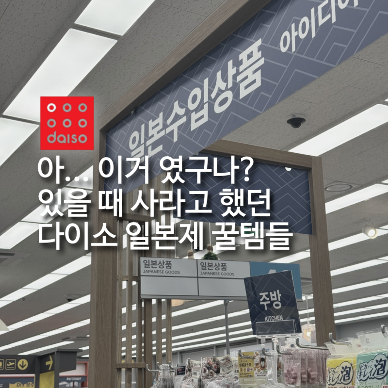 이거였어? 있을 때 사라던 다이소 일본제 꿀템들
