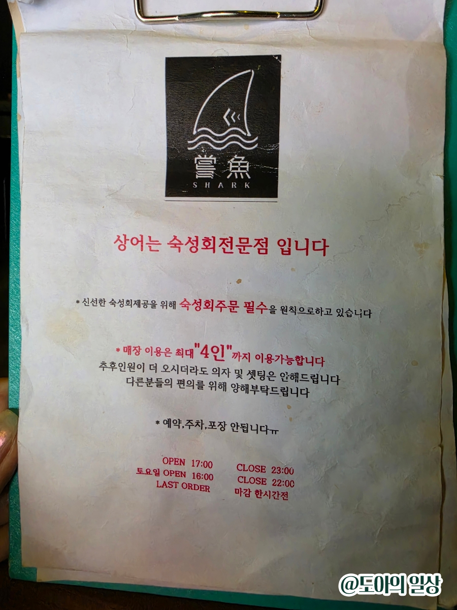 상어 사진 6