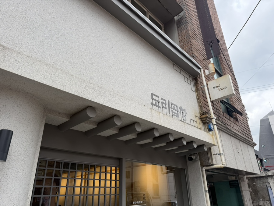 도리 사진 2