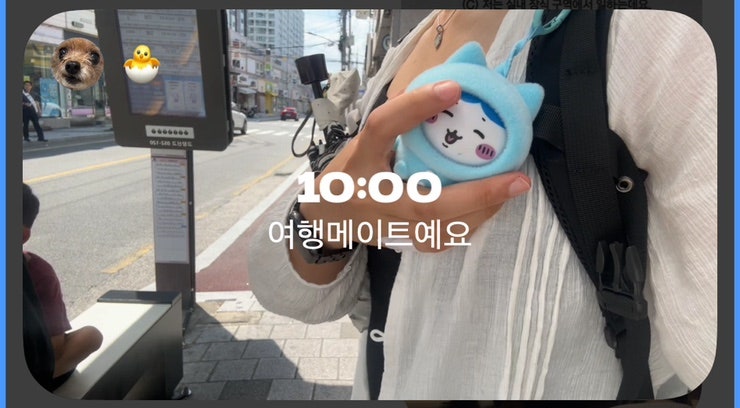 향설 사진 2