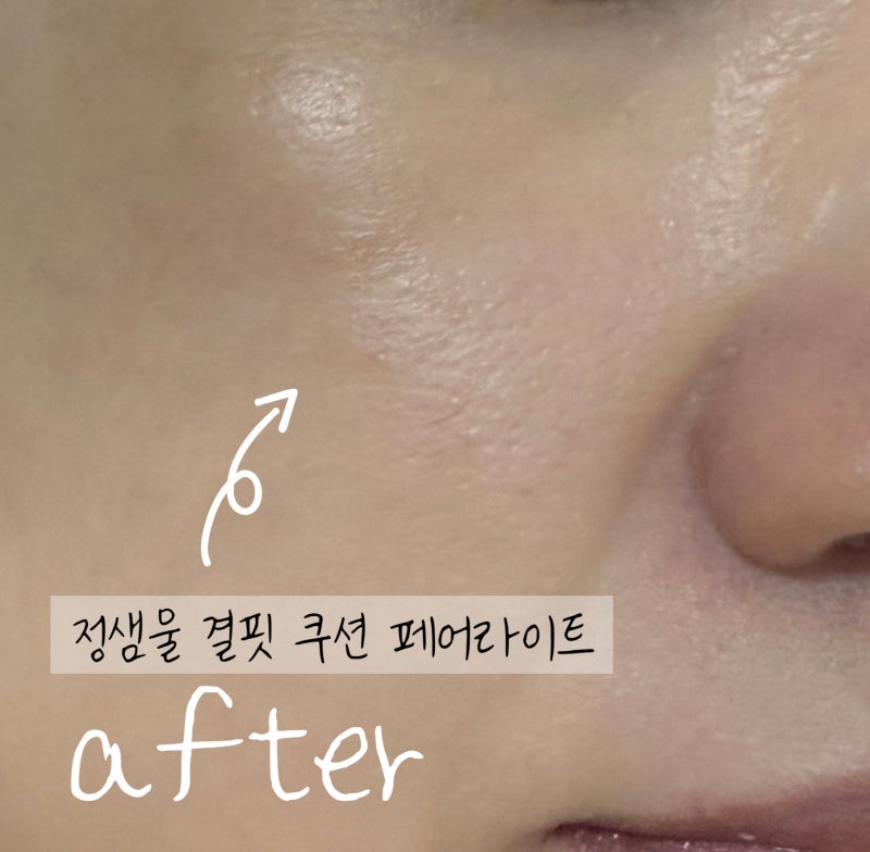 정샘물 결핏 쿠션 페어라이트 재구매 후기 | 얇은데 커버되는 21호 쿠션 파운데이션 추천