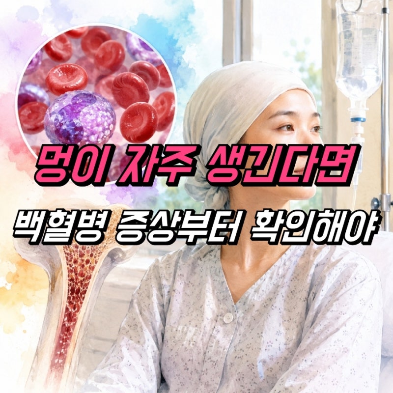 급성 백혈병 초기증상 원인, 치료 방법 완치율