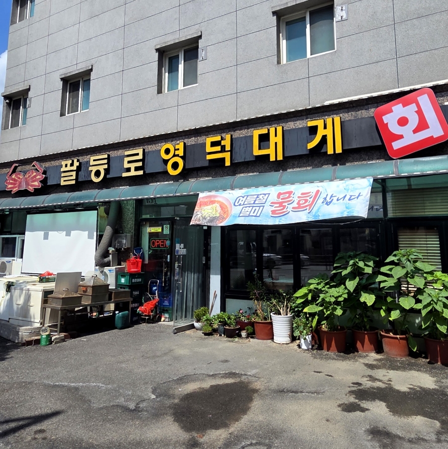 팔등로영덕대게 사진 2