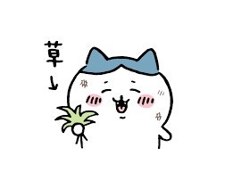 향설 사진 4