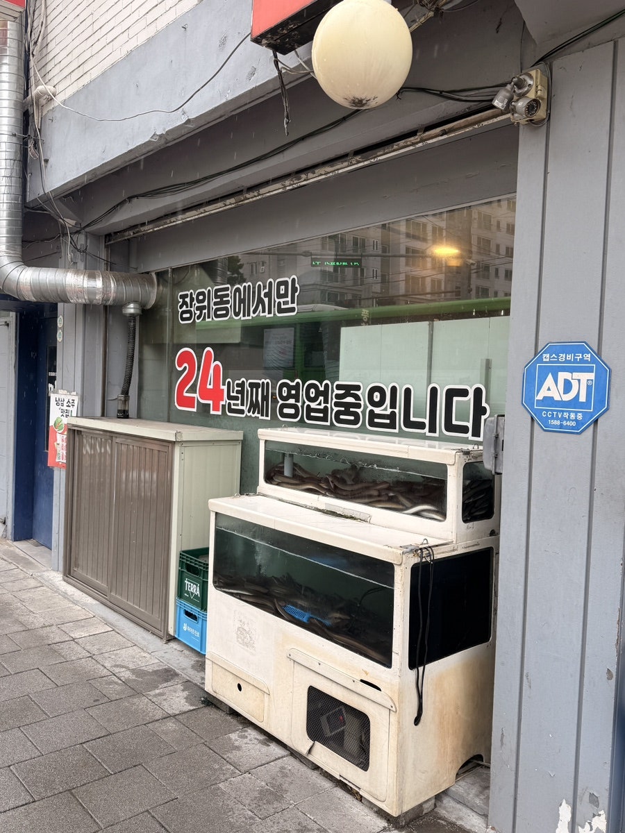 우리풍천장어 사진 2