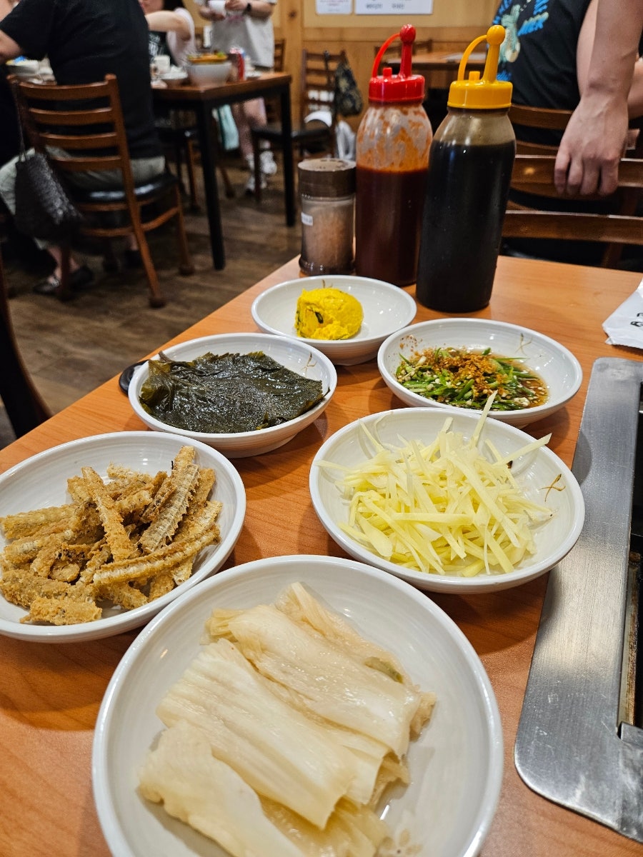 역말장어 사진 4