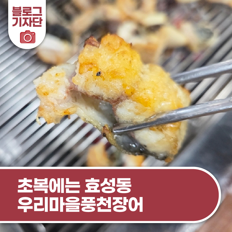 풍천장어 사진 1