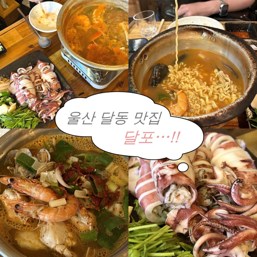 달포 사진 1