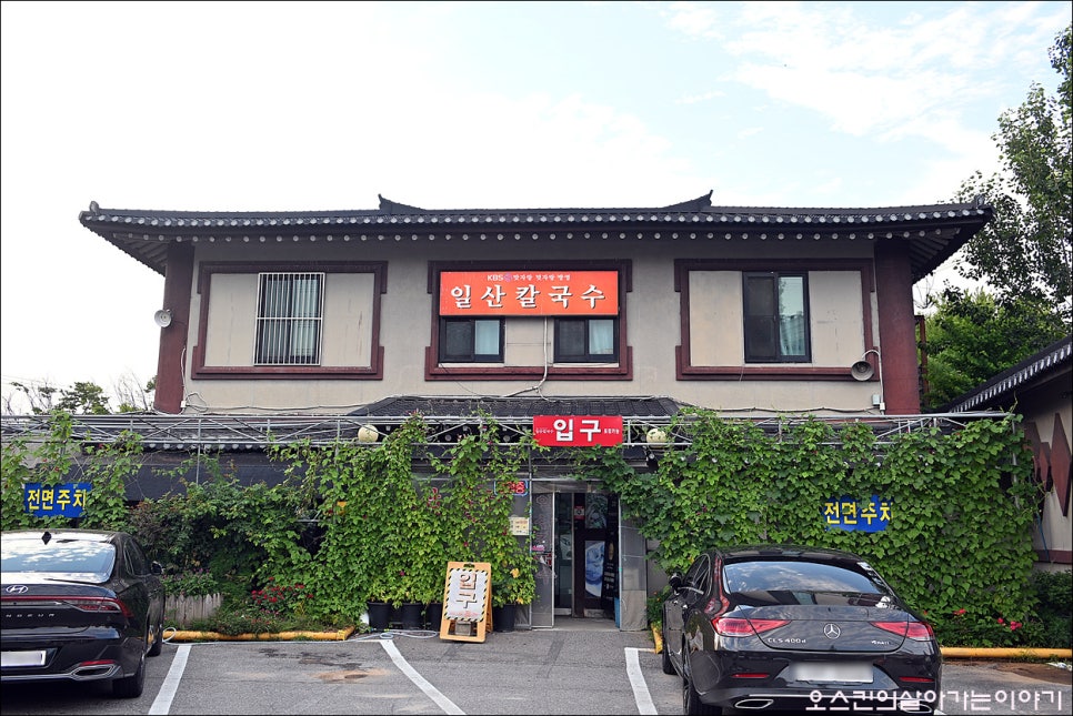 일산칼국수 사진 2