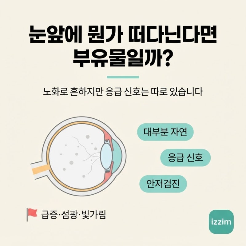 비문증 원인부터 날파리증 대처법까지, 위험한 신호 구별하는 법 총정리