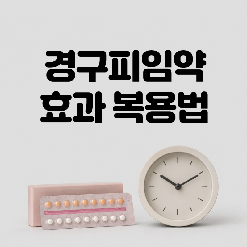 '이것' 모르면 피임 실패? 경구피임약 효과 복용법 시간 종류별 부작용